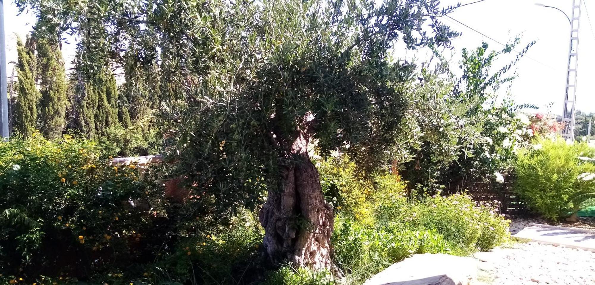אל קאמפיו Villa Casa Kenaz מראה חיצוני תמונה